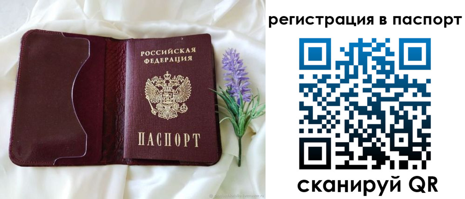 временная регистрация для всех в Михайловке